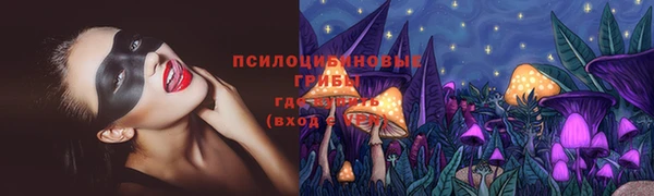молекула духа Пересвет