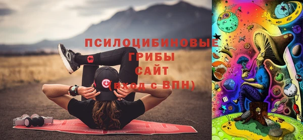 ешки Алексеевка