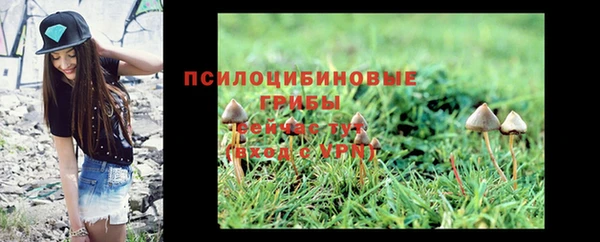 ешки Алексеевка