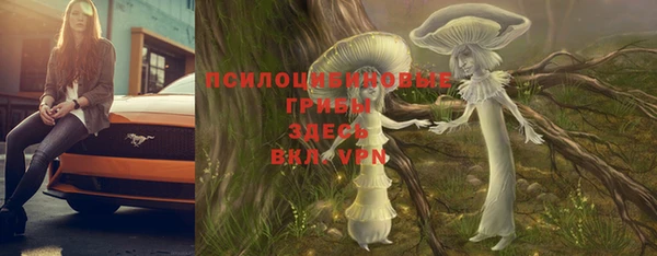 стафф Абинск