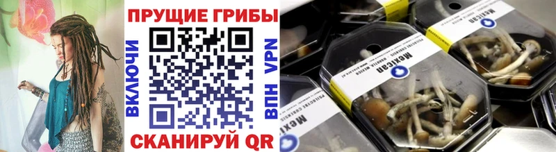 Галлюциногенные грибы мухоморы Котово